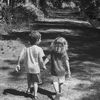 aniis_2504