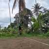 anandya.putra