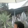 ellzhaa8
