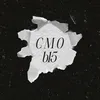 cmo____b15