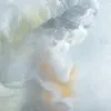 thisplanetscannedcoffee0