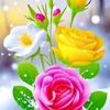 soso.soso6692