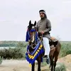 odaialjorani