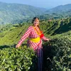 pokhrelmani2