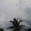 kembangteleng_