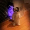 jotaro_cat4