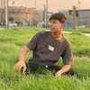38_loi