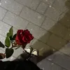 lubna_rashwan