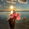 nourhadi655