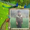 rahatullah58425