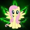 herlockbian
