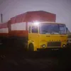 sebagigi79
