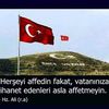 deliy011