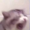 slushieslurp1