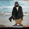 pinguim_artico