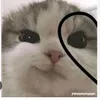 creadora_de_todo