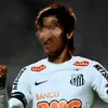 novinxrc