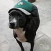 dogdanike