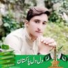 majidbadsha112