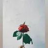 _ndiii132