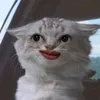 chocobutternutsx