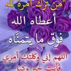 Mohamed Berouaken605
