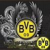 bvb803