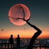 user7263114561740ibrahi5