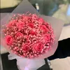 iamtheonewholoves31