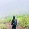zlynn_4a