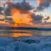 renza_1441