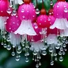 amira.ali.10