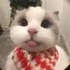sam.riviu14