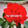 user2659462556396
