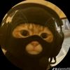 turbocatnip