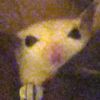 chaoticsockgremlin