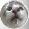cat.l0v3rxx