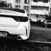 zloy_almaz