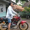 rosibila1