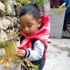kelianalp
