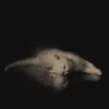 ..s08_x