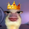 iloevidy0.0
