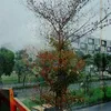 sarangirang