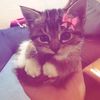 shelovemacaa