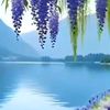 .com.id50