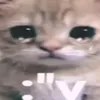godx_x