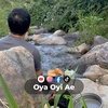 oyaoyiae