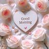 siyal737