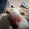 mrotekz