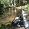 doicarudany2